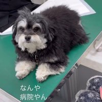 「病院やん…」