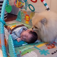 隣に行ってペロペロ♪