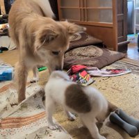 仲良くなれる予感…♪