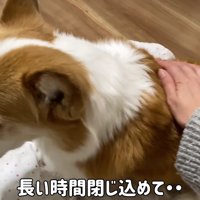 お利口でえらいね