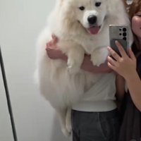 一応まだ子犬期です…