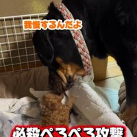 外へ出ないようサポート