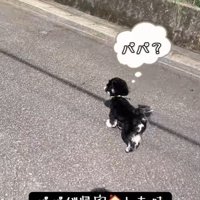 パパさんの車を発見