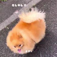 「どこ行くの…？」