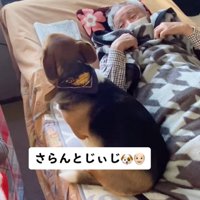 さらんちゃんを見るおじいちゃん