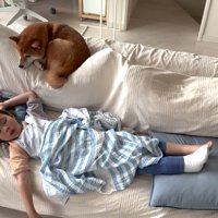 お昼寝中も見守る花子ちゃん