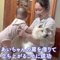赤ちゃんのことは受け入れます