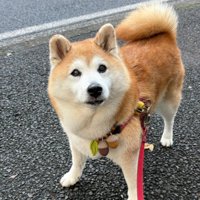 スン…