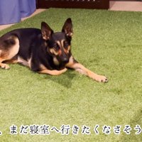 なかなか寝ようとしない維桜ちゃん