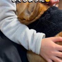 お姉ちゃんの顔に傷ができてしまった