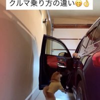 「連れてってよぉ」