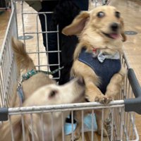 みんな表情豊かなタイプ