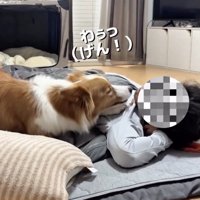 「起きてぇ」