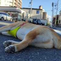 倒れる