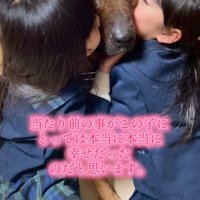 寄り添って眠る犬と女の子