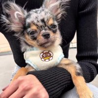 少しずつ慣れて行こう！
