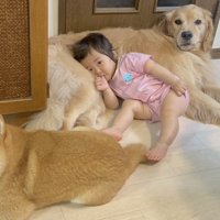 「ほの」