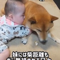 友好的な娘さんに困惑