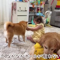 悔しさが募るほのちゃん