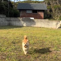心がほっこりする♡