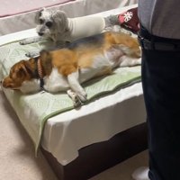 横に立つおじいちゃん