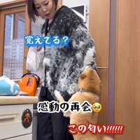 飛びついて熱烈歓迎！