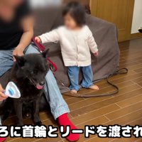 「お散歩に行きたい！」