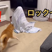 お名前を呼んでみたら…