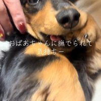 おばあちゃんに撫でてもらうレオくん4