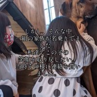 犬に抱きつく女の子たち