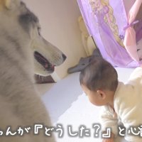 「大丈夫？」