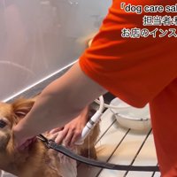 意外にも落ち着いている