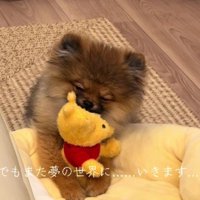 やっぱり眠い…