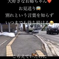 遠ざかるバスを追う犬