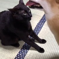 天くん、強い…！（笑）