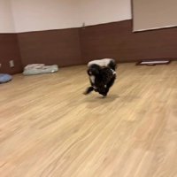 ひゃっほーい！！！