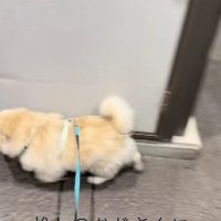 「おじさんいるかな？」