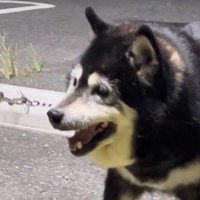 「休むことも大切だよね」