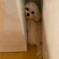 ぴったりハマっちゃった！！