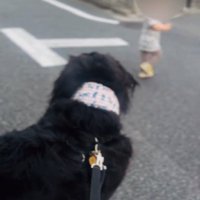 あざちゃんと男の子