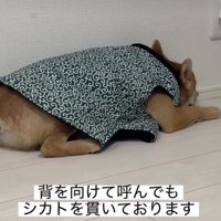 背中で不満を語ります