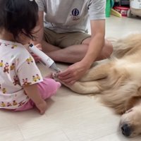 見守るうにくんとほのちゃん