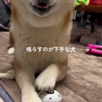なぜか誇らしげ