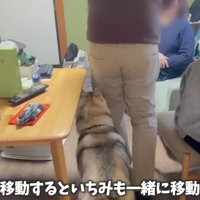 「どこに行くの～」