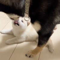 「たまんねぇよぉぉ」