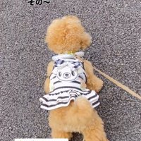老人の前で立ち止まる犬