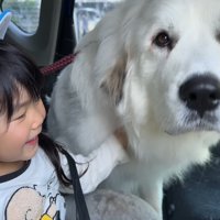 嬉しそうな子供と大型犬