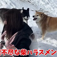 おもちくんが寄ってきて…