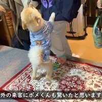 「早く一緒に遊ぼう！」