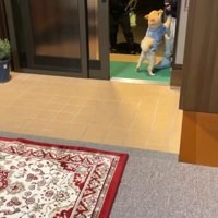 飛びついて熱烈歓迎！